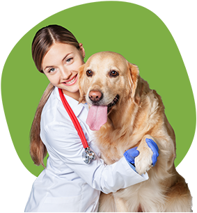 Jobs With Animals Vet With Dog